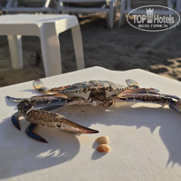 фото из отзыва ID 2740437