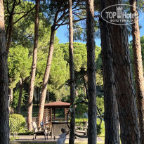 фото из отзыва ID 2740467