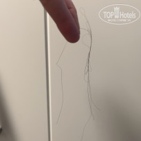 фото из отзыва ID 2740464