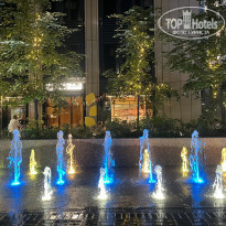 фото из отзыва ID 2740464