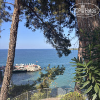 фото из отзыва ID 2740296