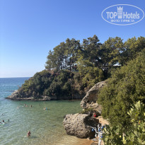 фото из отзыва ID 2740296