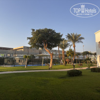 фото из отзыва ID 2740483