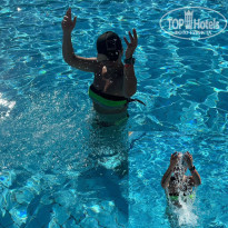 фото из отзыва ID 2740484