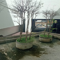 фото из отзыва ID 2740470