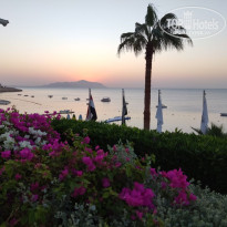 фото из отзыва ID 2740314