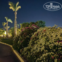 фото из отзыва ID 2740314