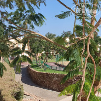 фото из отзыва ID 2740314