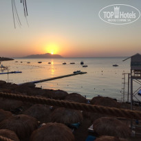 фото из отзыва ID 2740314