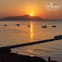 фото из отзыва ID 2740314