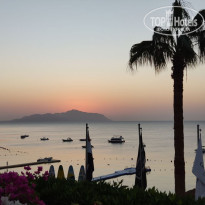 фото из отзыва ID 2740314