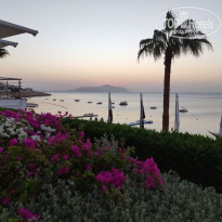 фото из отзыва ID 2740314