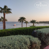 фото из отзыва ID 2740314