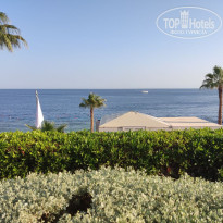 фото из отзыва ID 2740314