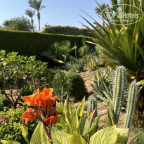 фото из отзыва ID 2740517