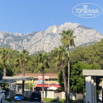 фото из отзыва ID 2740519