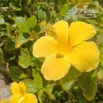 фото из отзыва ID 2740520