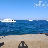 фото из отзыва ID 2740520