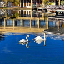 фото из отзыва ID 2740528