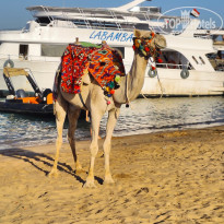 фото из отзыва ID 2740536