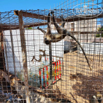 фото из отзыва ID 2740536