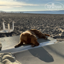 фото из отзыва ID 2740545