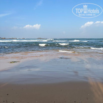 фото из отзыва ID 2740531