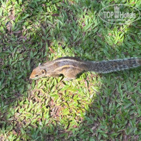 фото из отзыва ID 2740531