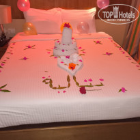 фото из отзыва ID 2740559