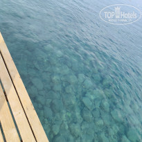 фото из отзыва ID 2740557