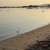 фото из отзыва ID 2740568