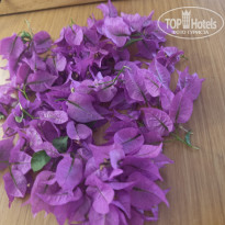 фото из отзыва ID 2740570