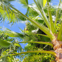 фото из отзыва ID 2740589