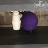 фото из отзыва ID 2740590