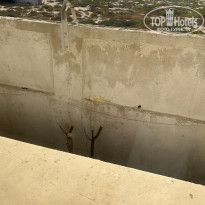 фото из отзыва ID 2740009