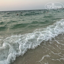 фото из отзыва ID 2740009