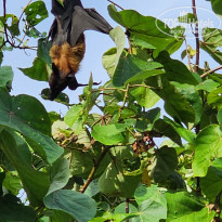 фото из отзыва ID 2740614