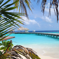 фото из отзыва ID 2740614