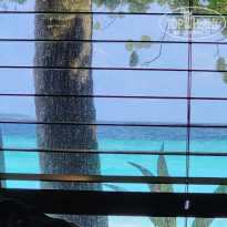 фото из отзыва ID 2740614