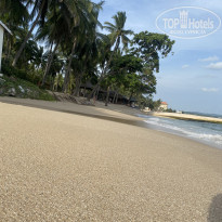 фото из отзыва ID 2740615