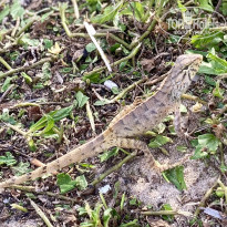 фото из отзыва ID 2740615