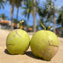 фото из отзыва ID 2740615