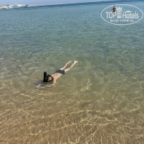 фото из отзыва ID 2740616