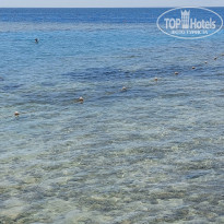 фото из отзыва ID 2740389