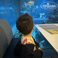 фото из отзыва ID 2740653