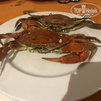 фото из отзыва ID 2740664