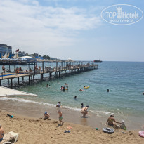 фото из отзыва ID 2740666