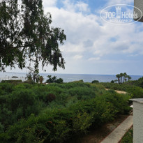 фото из отзыва ID 2740666