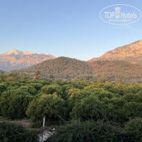 фото из отзыва ID 2740682