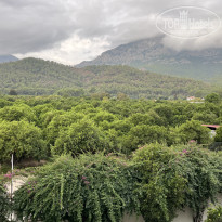 фото из отзыва ID 2740682